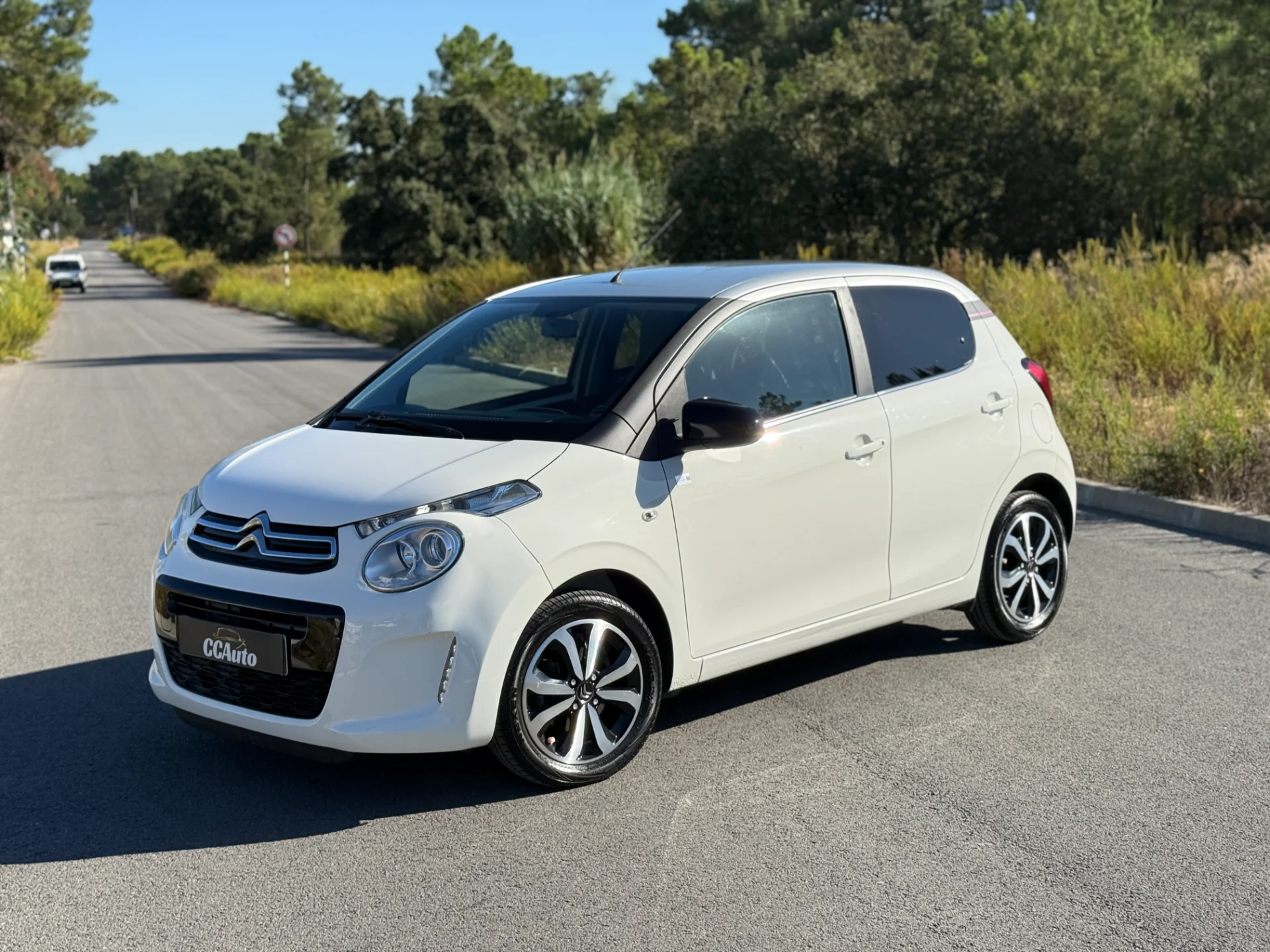 Miniatura