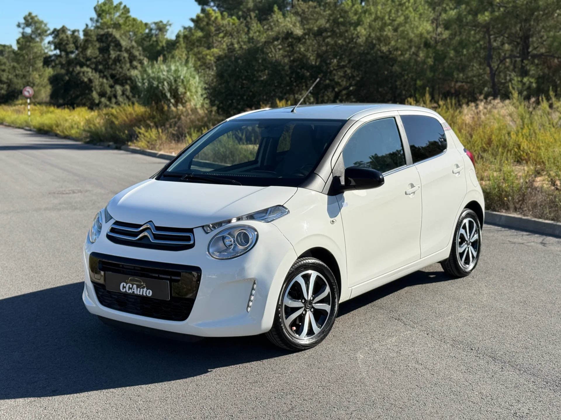 Miniatura