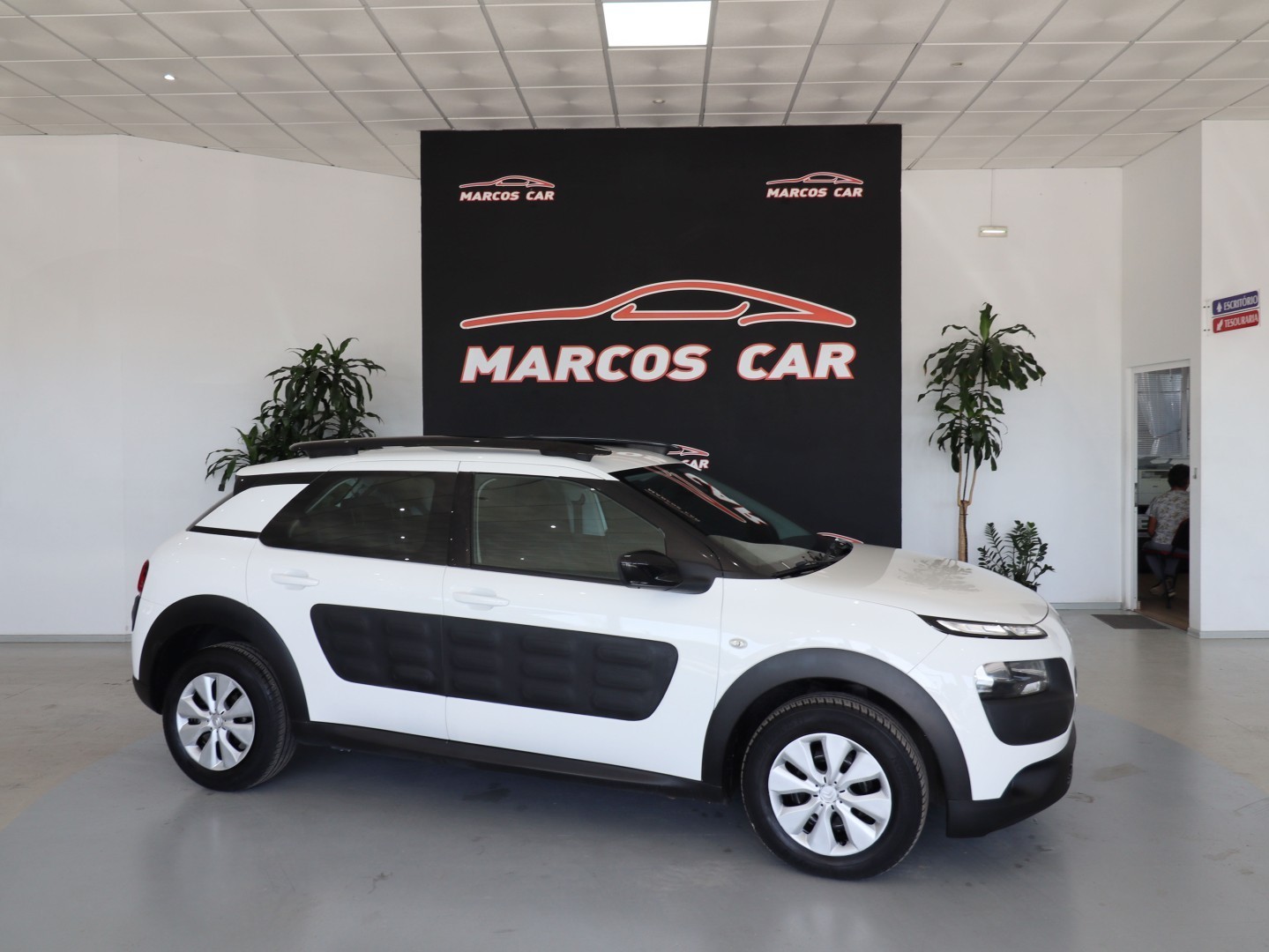 Miniatura