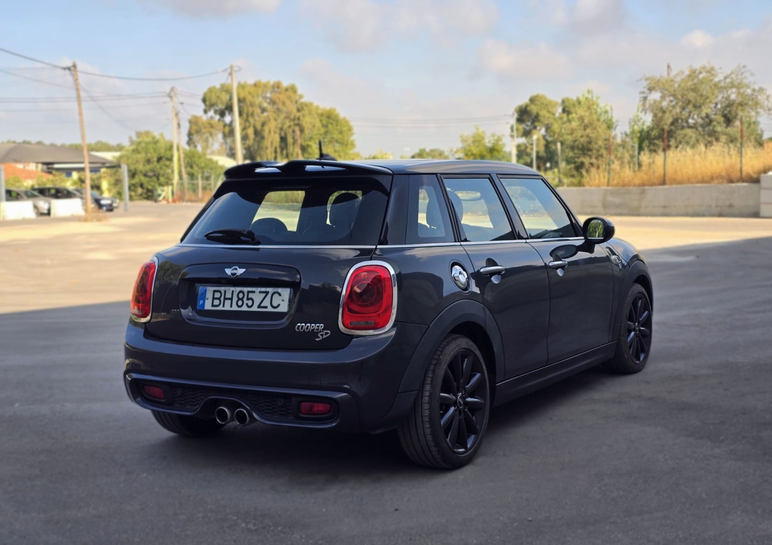 Miniatura