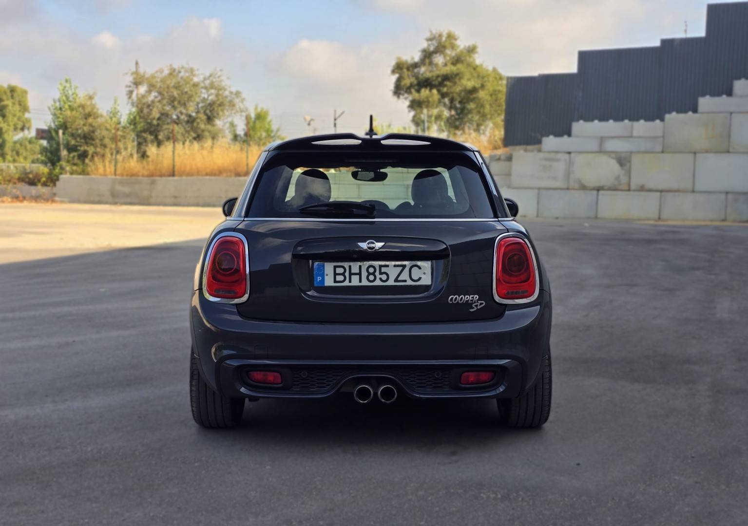 Miniatura