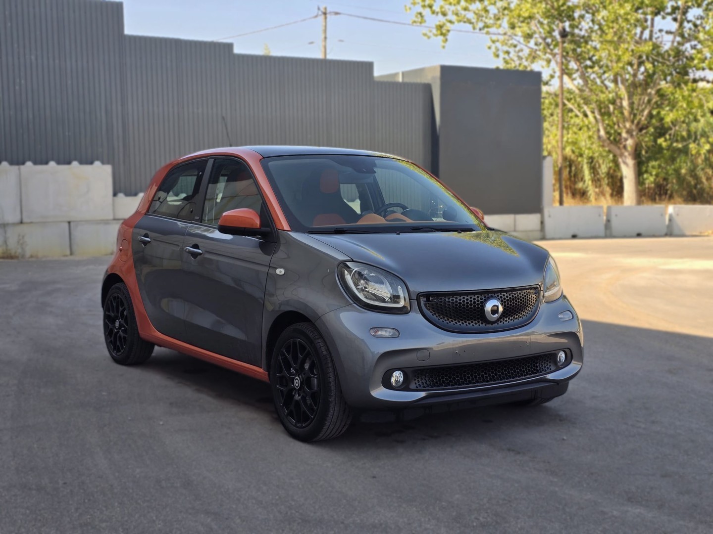 Miniatura