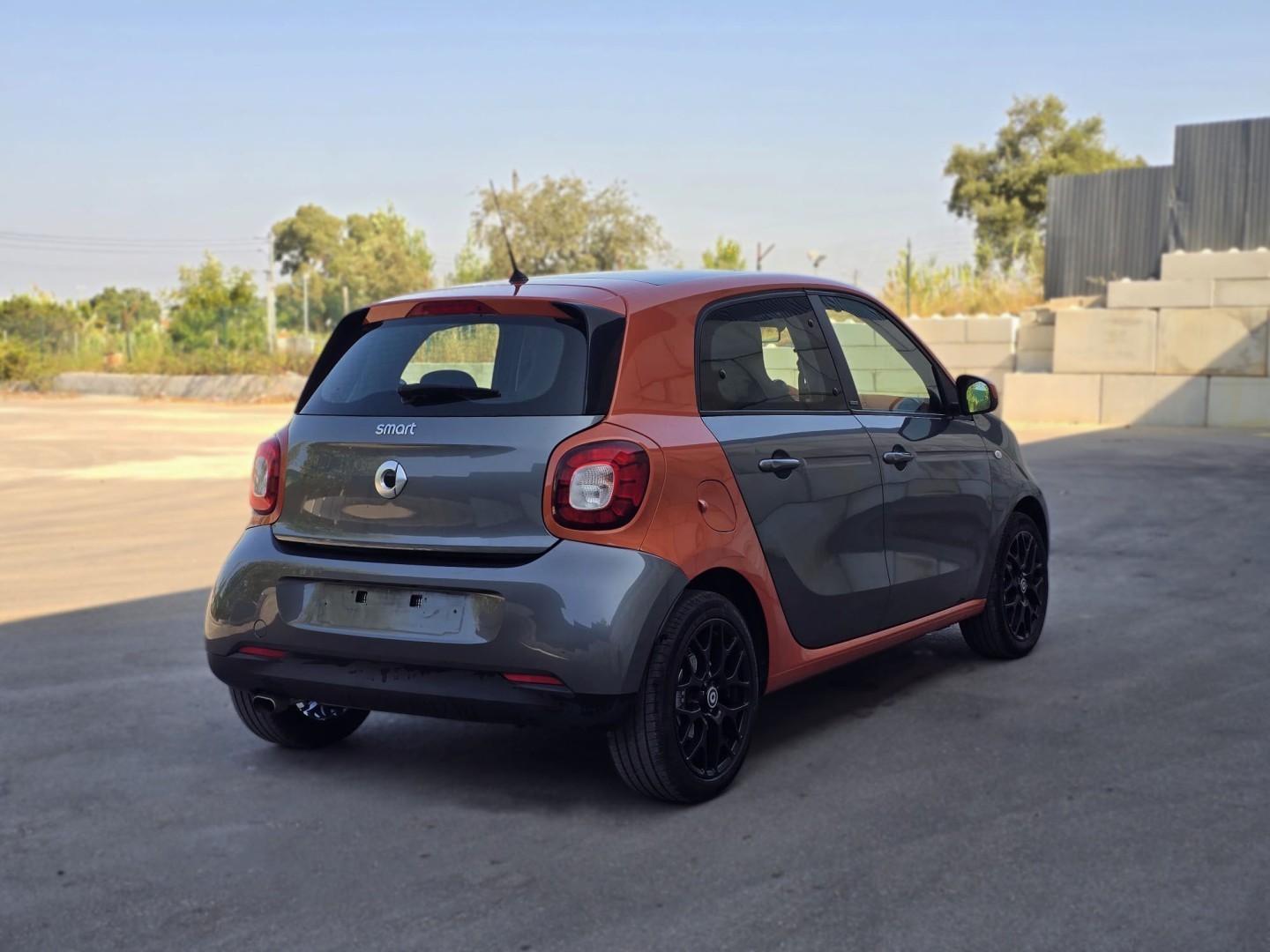 Miniatura