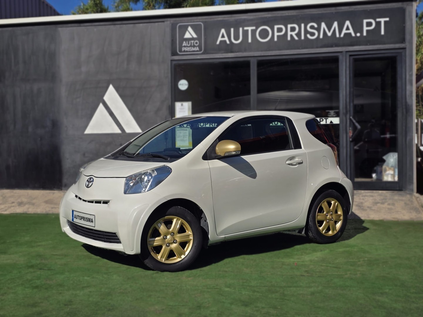 Miniatura