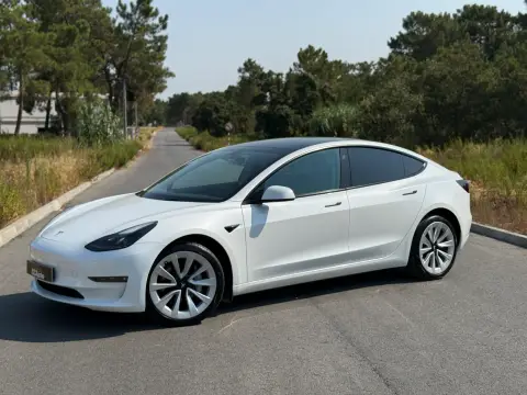 Tesla Model 3  2022