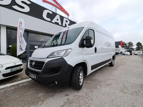 Fiat Ducato 2019